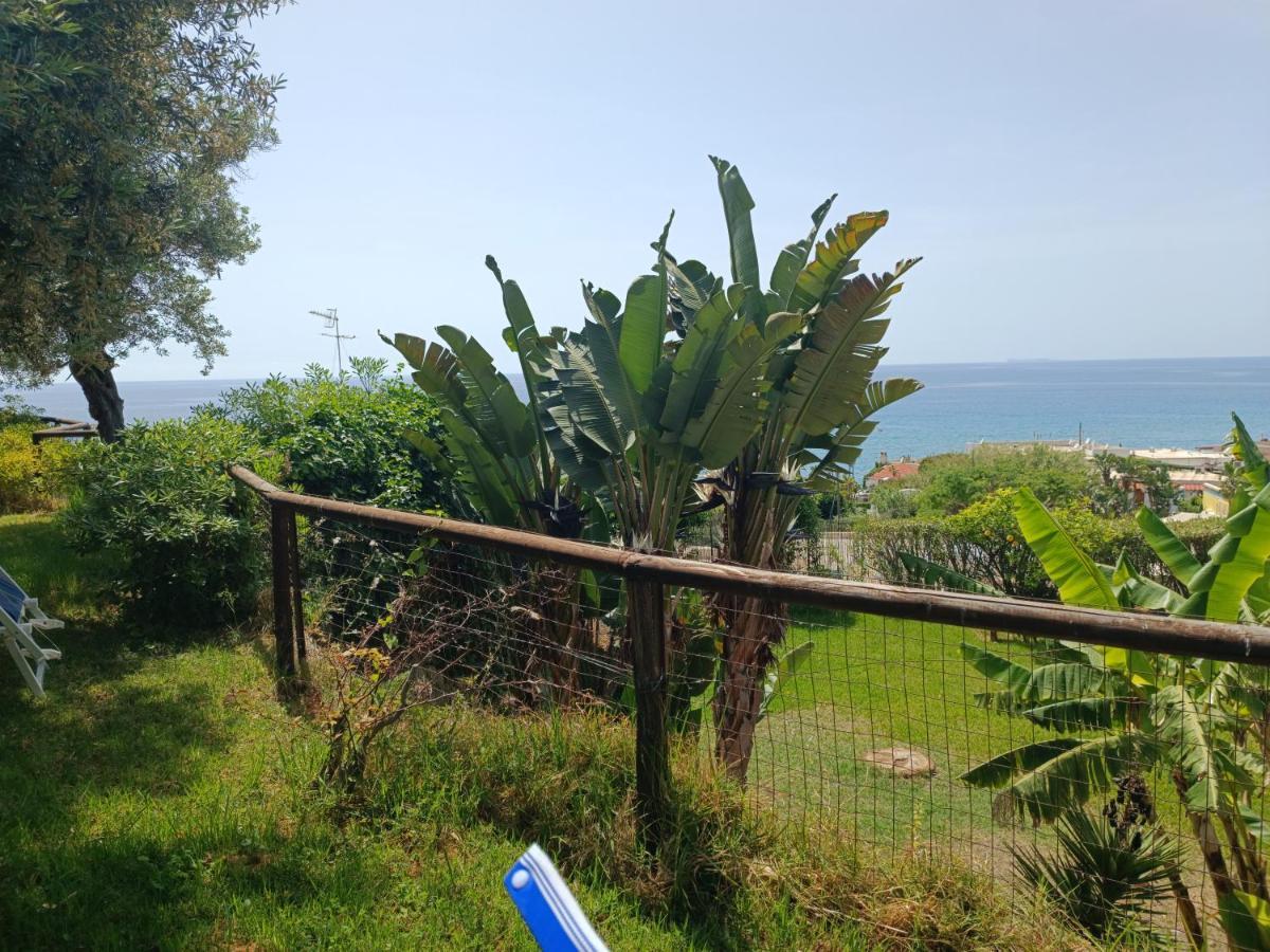 La Dea Del Mare Apartman Forio di Ischia Kültér fotó