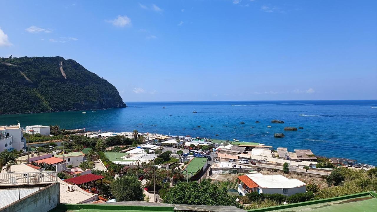 La Dea Del Mare Apartman Forio di Ischia Kültér fotó